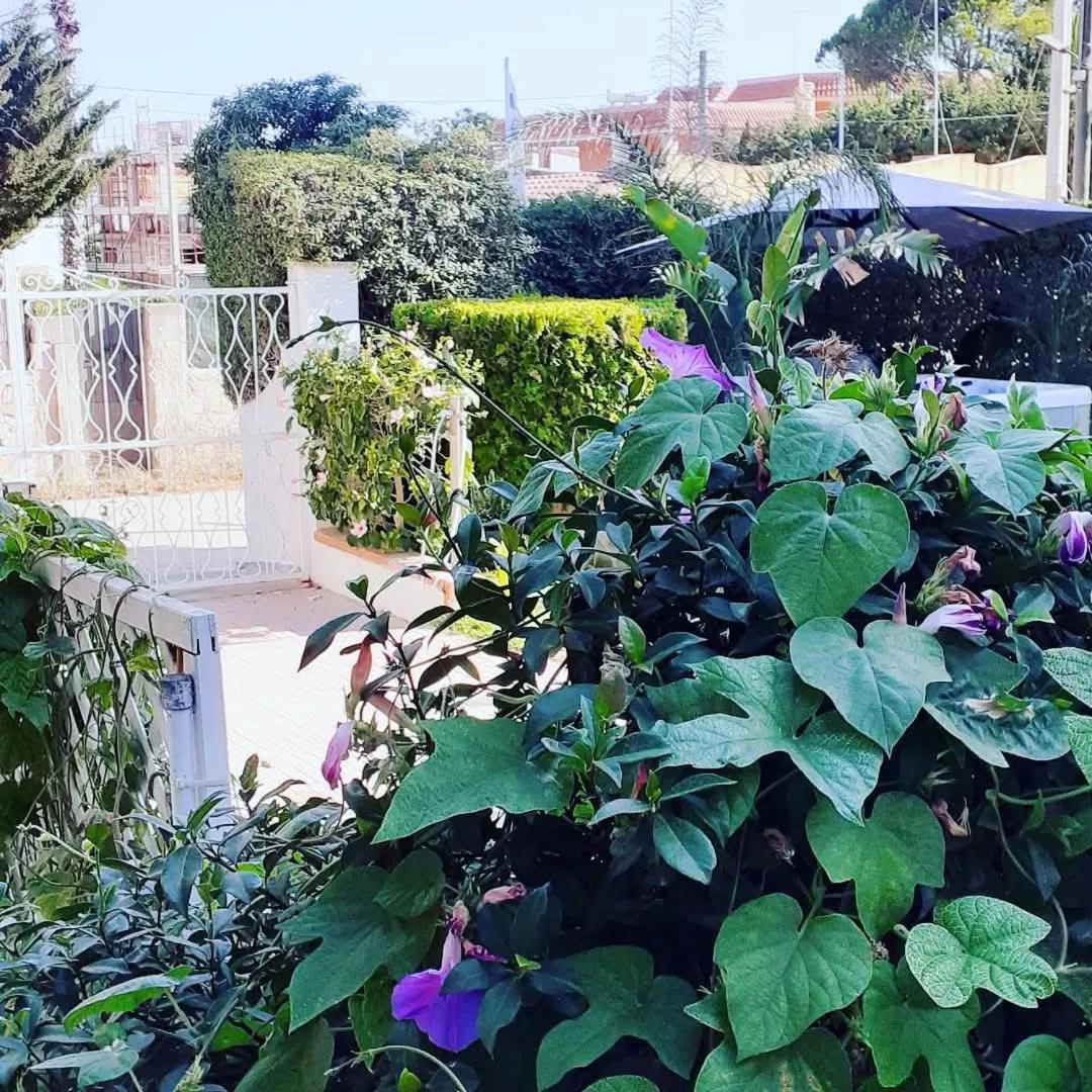 Sottovento Rooms&relax * Marzamemi